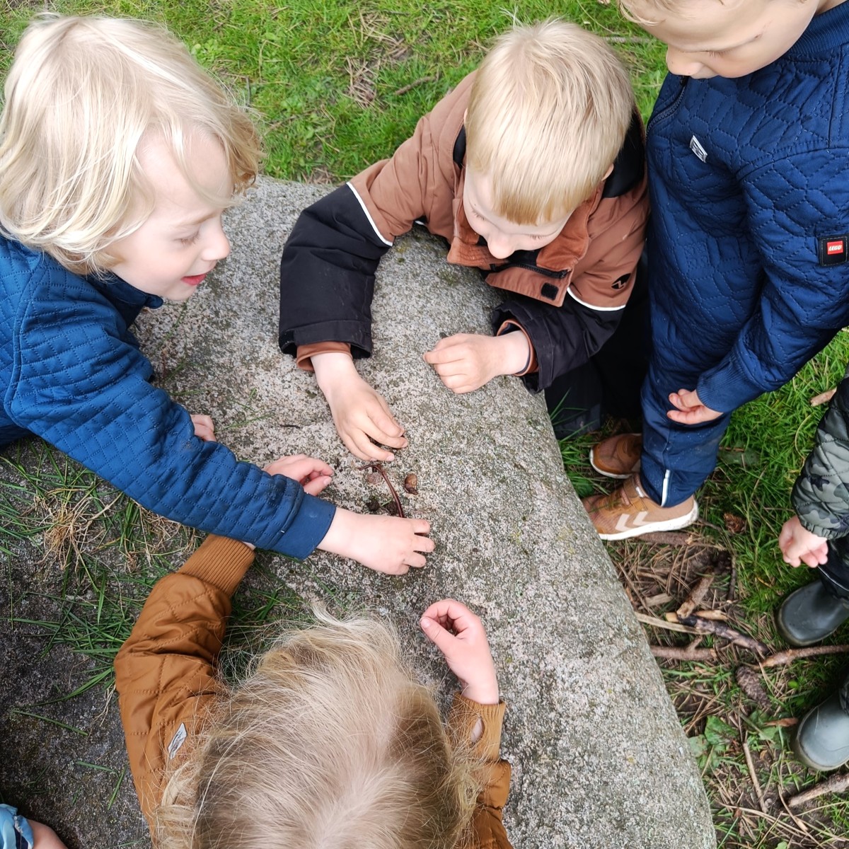 Tre drenge undersøger forskellige ting, de har fundet i naturen.