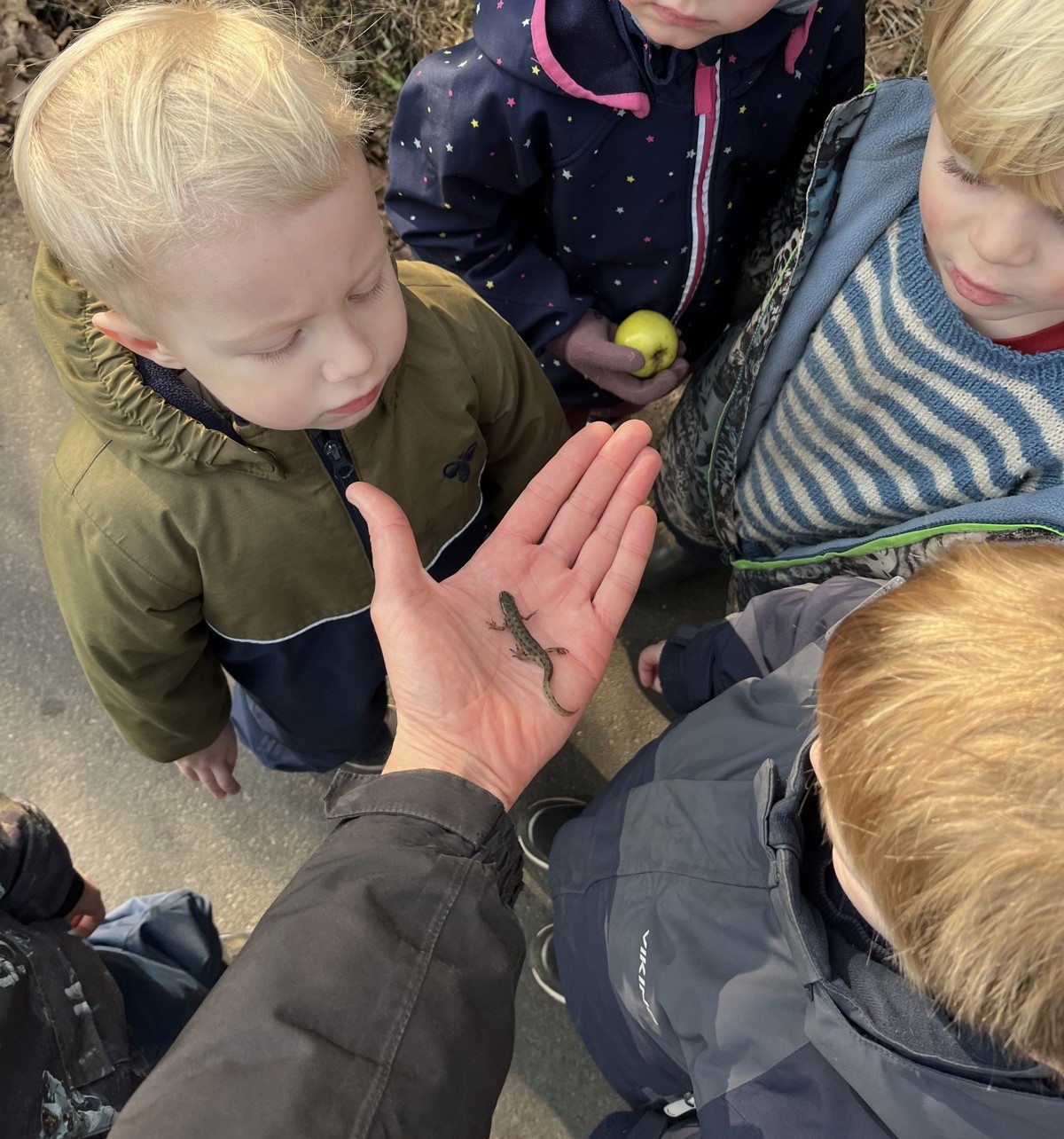 Børnehavebørn, der er på opdagelse i naturen.
